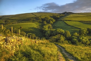 Exmoor scenery